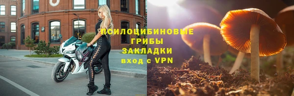 тгк Арсеньев