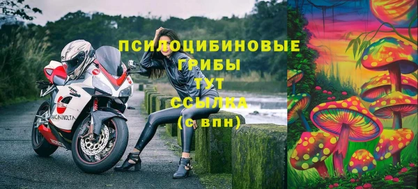 2c-b Армянск
