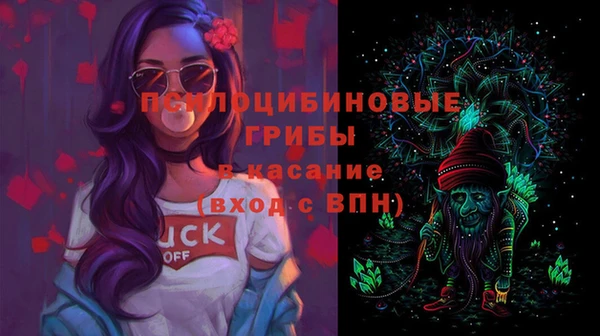 амф Переславль-Залесский