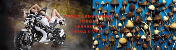 тгк Арсеньев