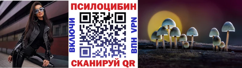 Галлюциногенные грибы Psilocybine cubensis  купить закладку  Лукоянов 